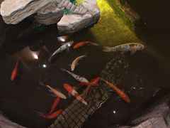 -鸥迪足道(湖南示范店)