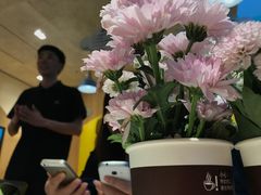 -麦当劳(塔园路店)