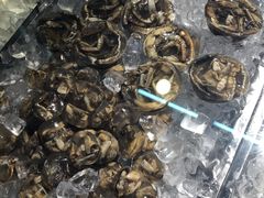 土笋冻-铭聚章鱼土笋冻(松柏店)