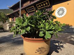 -宝岩生态观光园