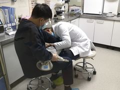 -喜多萌中农锦绣动物医院24H·猫科·牙科MRI·CT