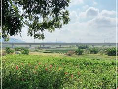 -光明小镇欢乐田园