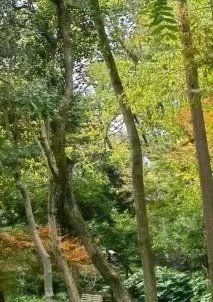 -汇龙潭