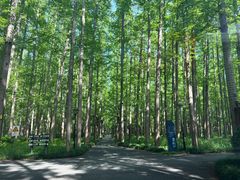 -上海怡沁园度假酒店