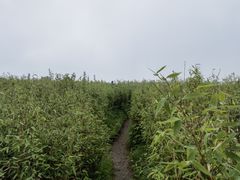 -秦岭风景区