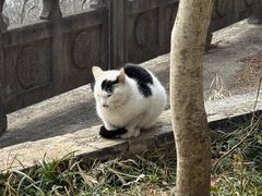 -句容茅山景区