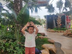 -三亚海昌梦幻海洋不夜城