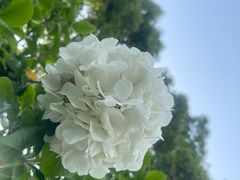 -永信齿科·永典口腔门诊部(浦东店)