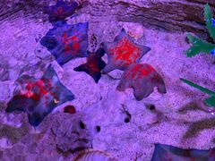 -沈阳海洋探索中心