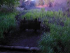 -峡谷浮石林景区