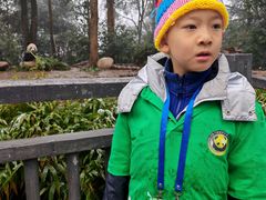 -中国大熊猫保护研究中心雅安碧峰峡基地