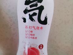 元气森林氦苏打气泡水-大象厨房(重庆道店)