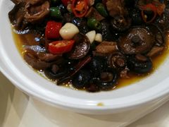 猪肚煸金钱菇-鑫源渔港(阳光店)