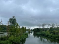 -溱湖国家湿地公园