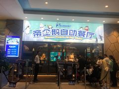 -帝企鹅自助餐厅•儿童岛•真企鹅(长隆企鹅酒店)