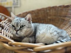 -小时光咖啡馆(开森度假森林店)