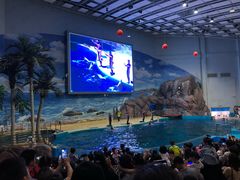 -福州罗源湾海洋世界旅游区