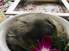 -二荆条·蜀鲜汇城市森林火锅