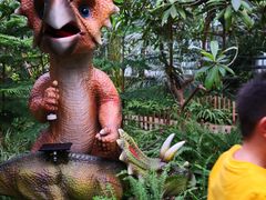 -呀路古热带植物园