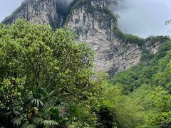 -鹿院坪生态旅游景区