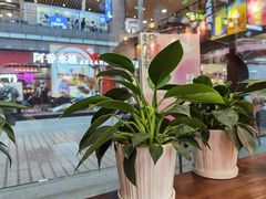 -茶话弄(咖啡·中贸广场店)