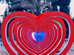 -西涌国际滨海旅游区