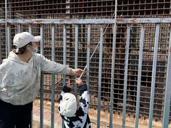 -水上乐园·欢乐世界