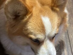 -肥朵食堂(带梦胡同店)