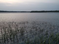 -丁香湖公园