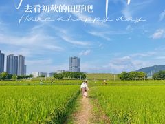 -光明小镇欢乐田园