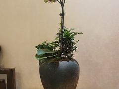 -畅和茶坊·曦瓜中国大红袍
