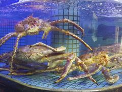 水产区-德兴show鲜·蒸汽海鲜火锅餐厅(格创悦里店)