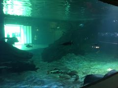 游乐设施-华夏文旅西安度假区