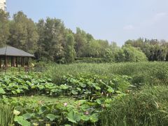 -沈阳市东陵公园