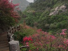 -木兰云雾山
