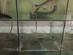-望亭阁(朱家角古镇店)