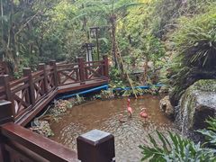-广州锦绣香江度假别墅