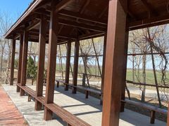 -南大港湿地风景区