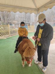 -萌宠亲子动物乐园(槐房万达店)