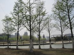 -白塘生态植物园