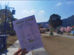 -径山花海