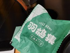 -羽鸽集·乳鸽专门店·地道顺德菜(岭南站店)