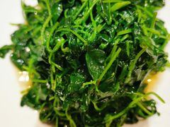 -南麓·浙里(外滩店)
