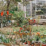 开春了，鸟语花香。还不知道门前的花园怎么安排