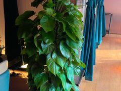 -蒋记海鲜姿造•洋房别墅(星河湾店)