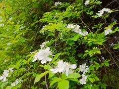 -仙海旅游度假区