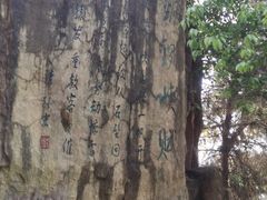 -铁山坪森林公园