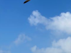 -海驴岛(荣成市)