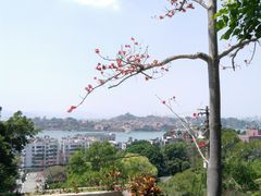 -鸿山公园
