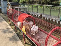-成都欢乐谷